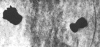 fig121